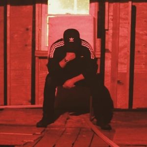 Meet your Posher, Oz